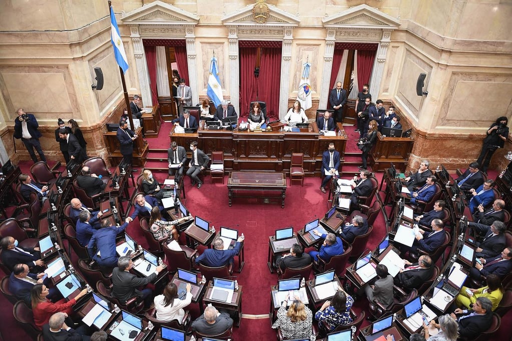 La imagen de una sesión abierta del Senado. La estrategia política del Frente de Todos podría hacerles ganar un espacio más en el Consejo de la Magistratura. 