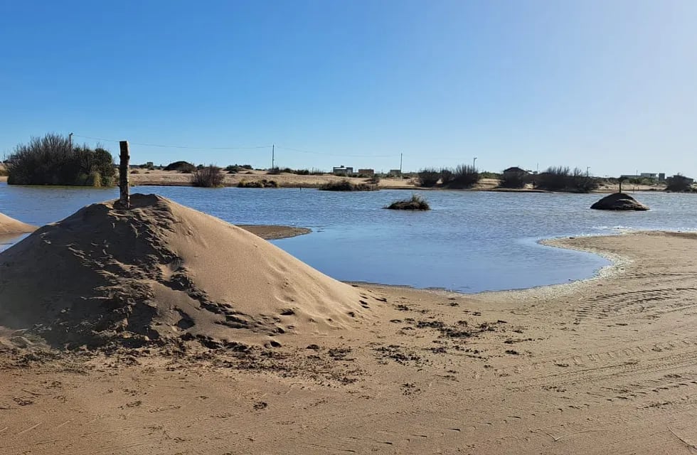 encuentran montículos de arena sosteniendo pilotes en una zona protegida de la albufera