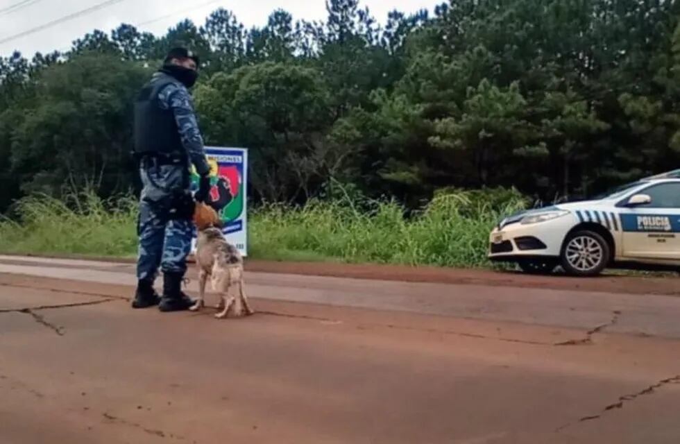 Personal policial de Eldorado adoptó un perro que los acompaña en los controles de cuarentena