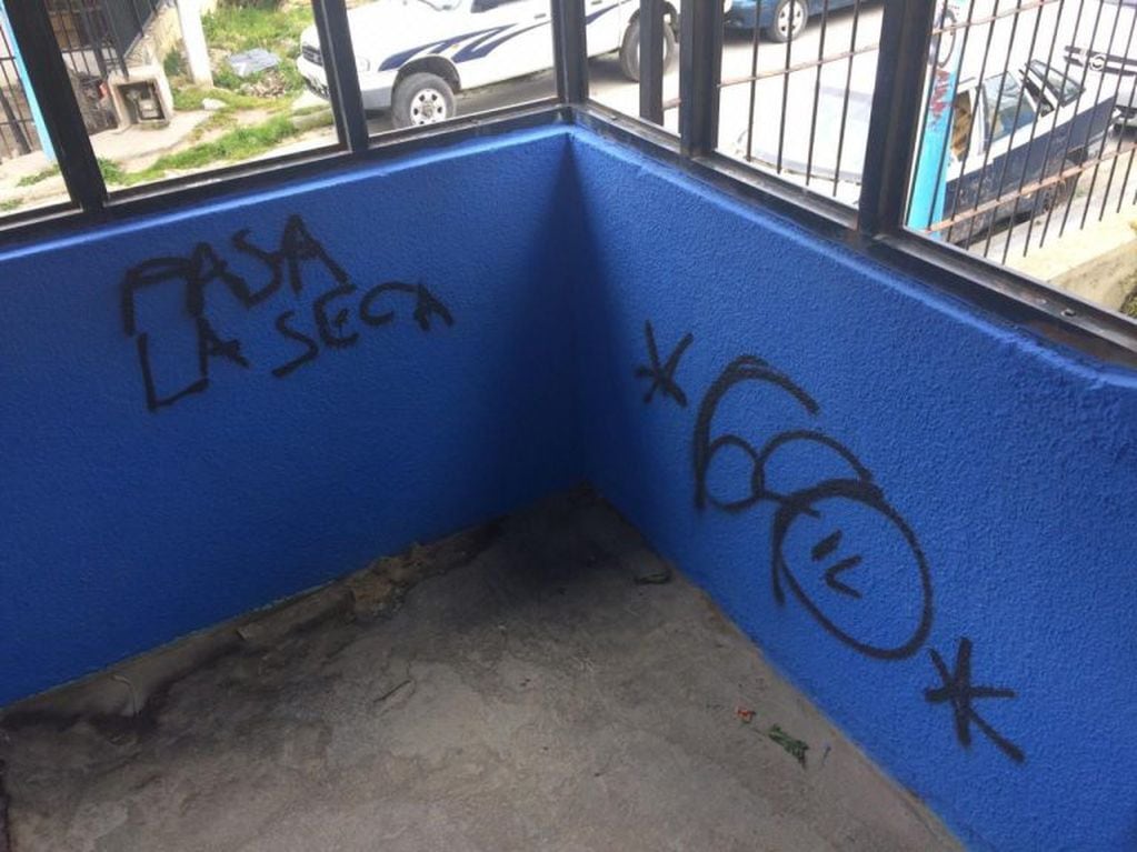 Vandalismo escuela 15
