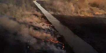 Incendios en el Delta del Paraná