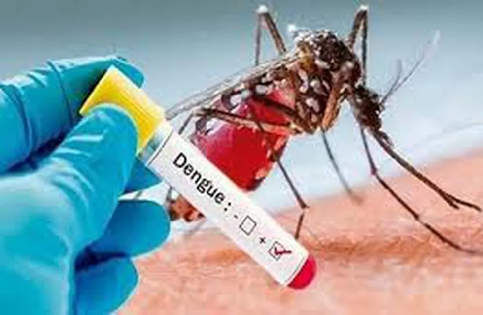 El Dengue sigue avanzando: 90 casos confirmados en Chaco