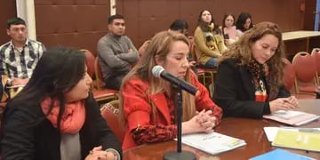 Comisión de Género, Legislatura de Jujuy