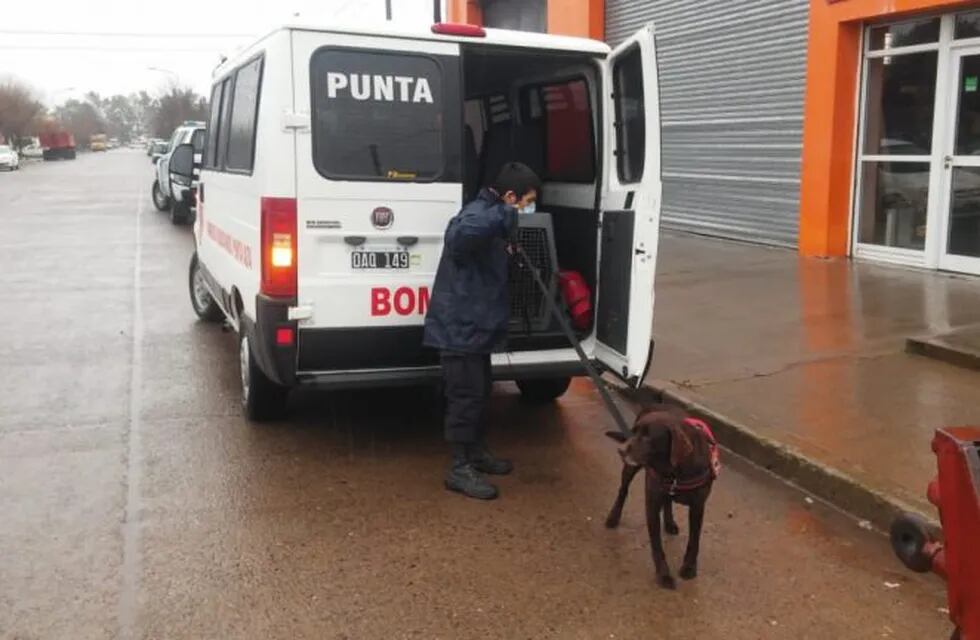 Canes del K9 de Punta Alta participan de la búsqueda de Facundo Astudillo Castro.