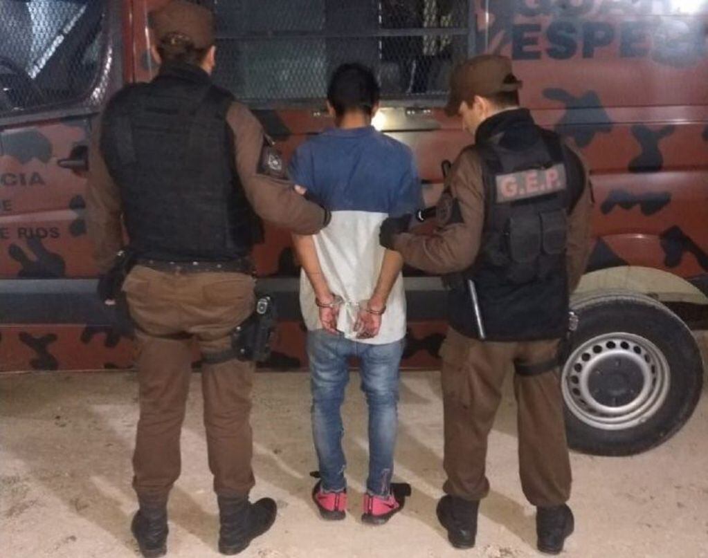 Pese a la intervención de los familiares y el animal, el joven fue detenido.