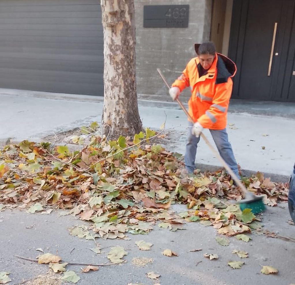 Trabajos semanales de la Coordinación de Higiene Urbana de Tres Arroyos