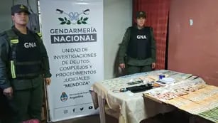 Allanaron cuatro viviendas en Mendoza y detuvieron a dos integrantes de una organización delictiva