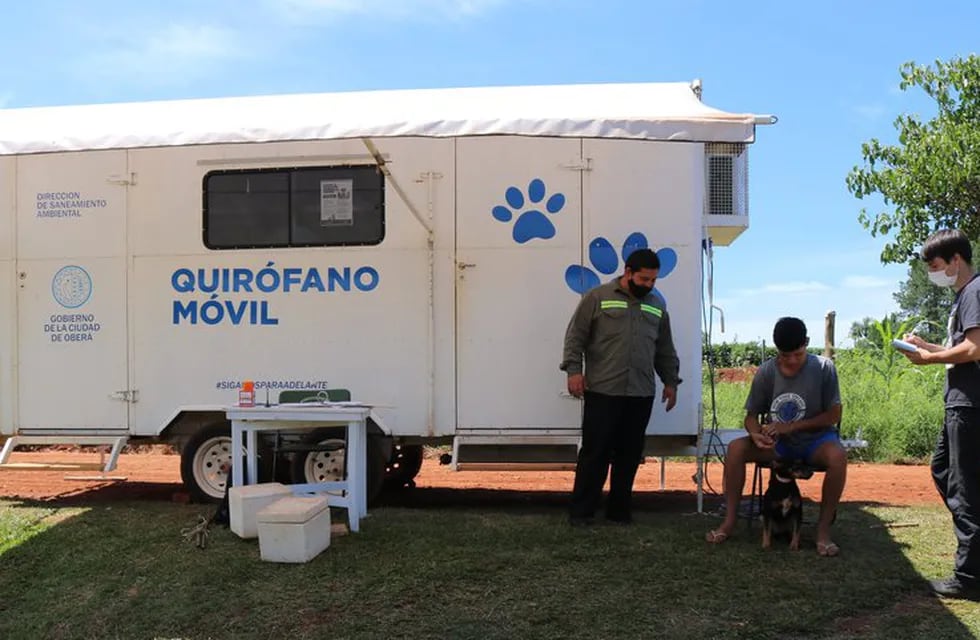 Oberá: el quirófano móvil para mascotas continúa trabajando en el barrio Sargento Cabral.