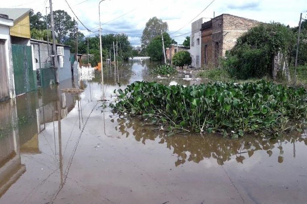 Agua estancada en plena localidad del interior (am1300lasalada.com.ar)