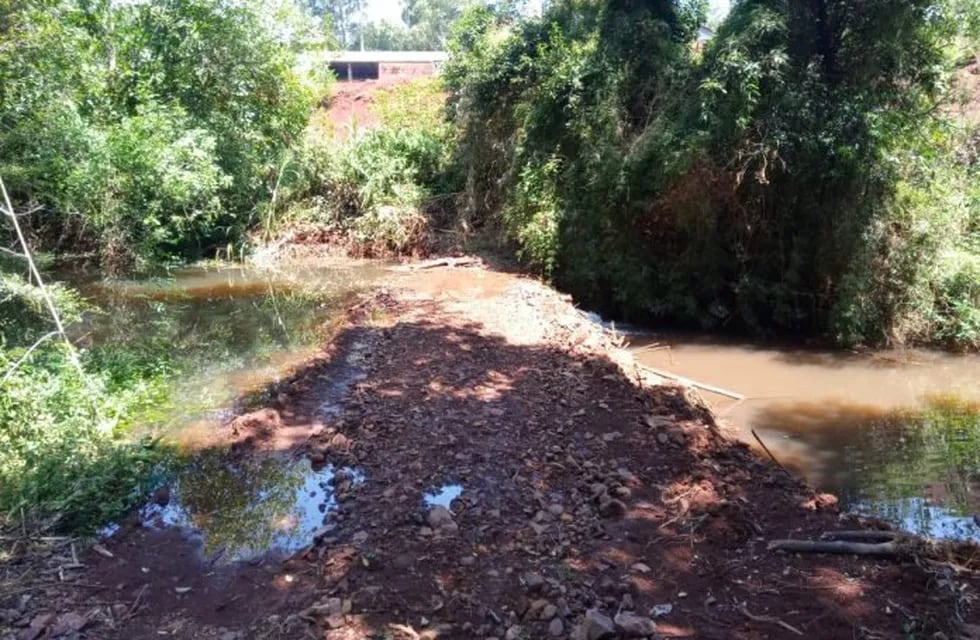 Denuncian peces muertos y contaminación en el arroyo Caraguatay.