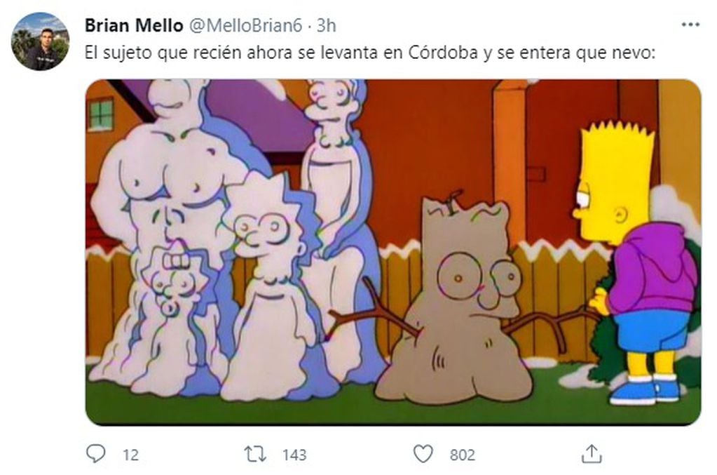 Los Simpson también sirvieron para los memes.