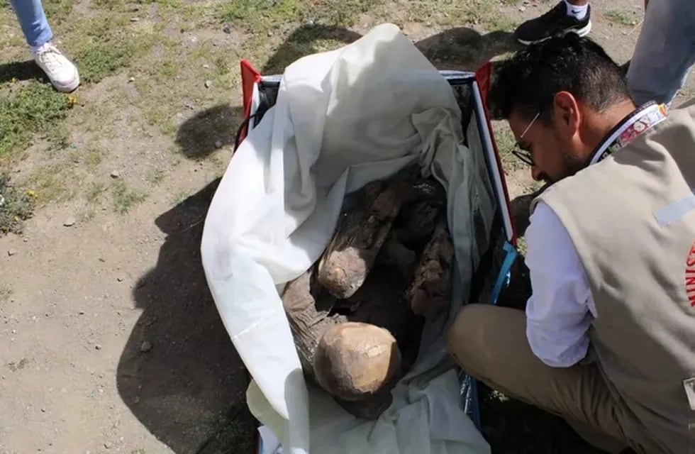 La momia prehispánica fue descubierta en un patrullaje de rutina en Puno, Perú