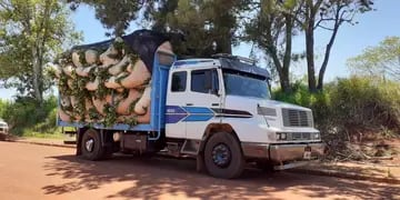 Colonia Victoria: secuestran un camión que transportaba 109 raídos de hoja verde de yerba mate