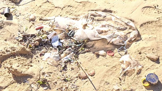 residuos en la costa bonaerense