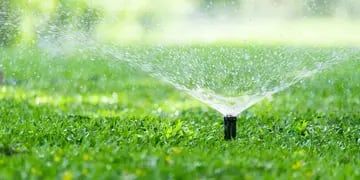 Tres opciones de sistema de riego para tu patio y jardín