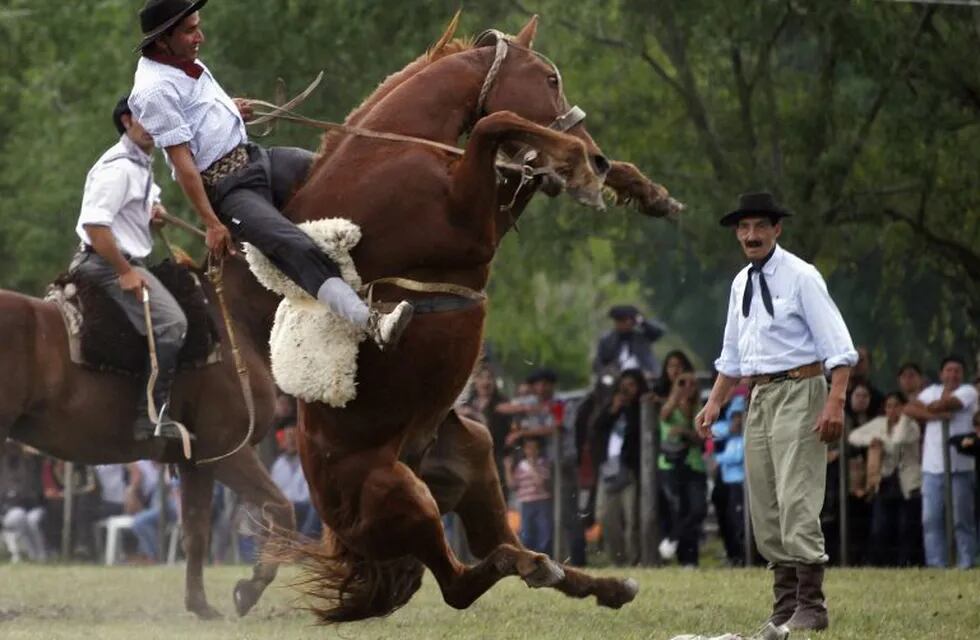 A gaucho (2nd L) rides an untamed horse during Tradition Day celebrations in San Antonio de Areco, some 116 km (72.5 miles) north of Buenos Aires, November 11, 2012. Gauchos take part in a mass festival as part of Argentina's Tradition Day, which commemorates the birth anniversary of Jose Hernandez, one of the nation's most important poets who highlighted the injustices and hardships of the ordinary people of his day. REUTERS/Marcos Brindicci (ARGENTINA - Tags: TPX IMAGES OF THE DAY SOCIETY ANIMALS ANNIVERSARY) San Antonio de Areco  festejos Dia de la Tradicion exhibicion de doma jineteada conmemoracion nacimiento escritor Jose Hernandez