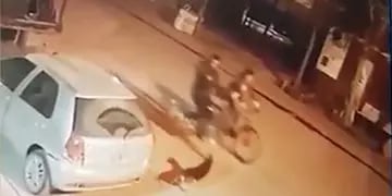 El momento en el que un joven dispara a un perro en la vía pública