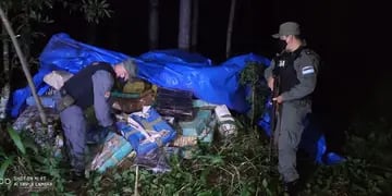 Garuhapé: encontraron más de cuatro toneladas de marihuana ocultas en el monte