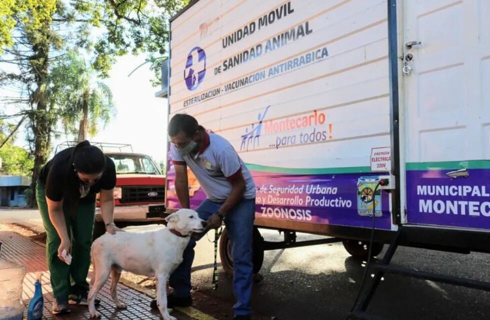 Zoonosis Municipal esterilizó a 1300 mascotas en el municipio de Montercalo.