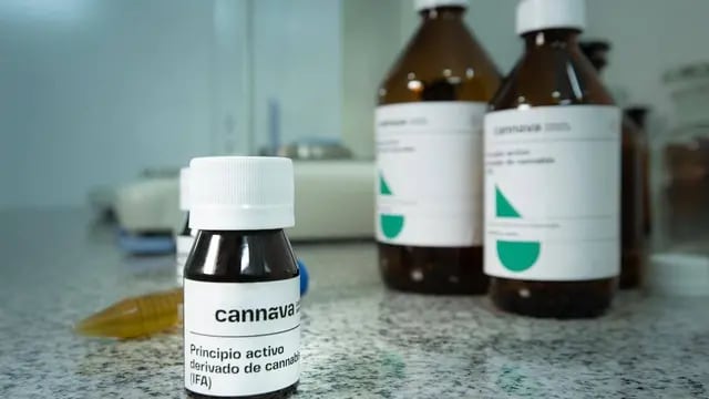 producción de cannabis medicinal en Jujuy