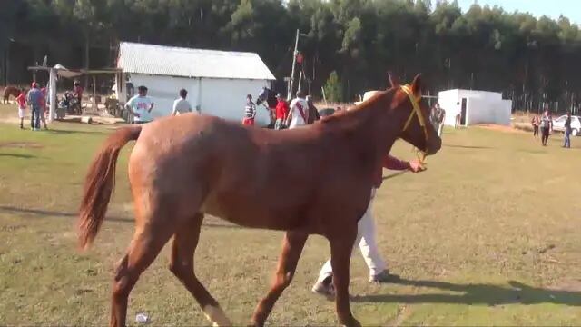 Grave por caerse del caballo