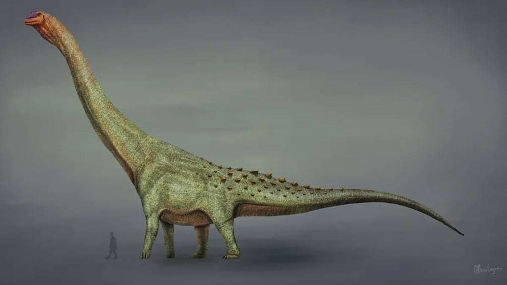 El increíble hallazgo del dinosaurio más grande de Río Negro.