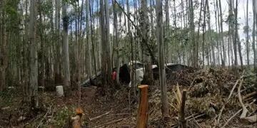Explotación laboral: ocho trabajadores misioneros rescatados de un cosecha forestal en Concordia