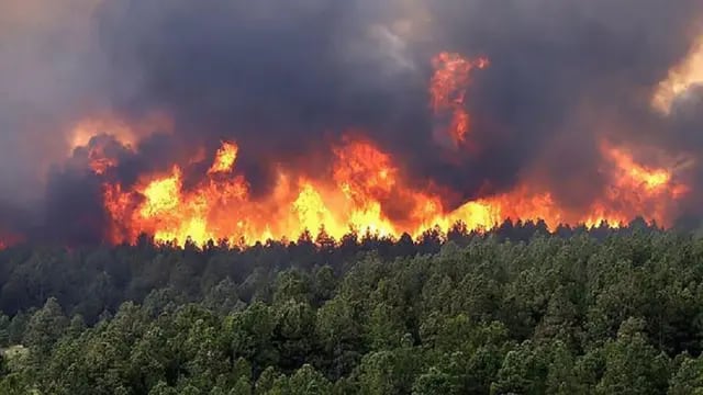 Incendio en la reserva Biósfera Yaboty
