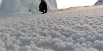 Flores de hielo en la Antártida