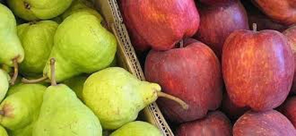 Peras y manzanas (Foto:Ilustrativa/Web)