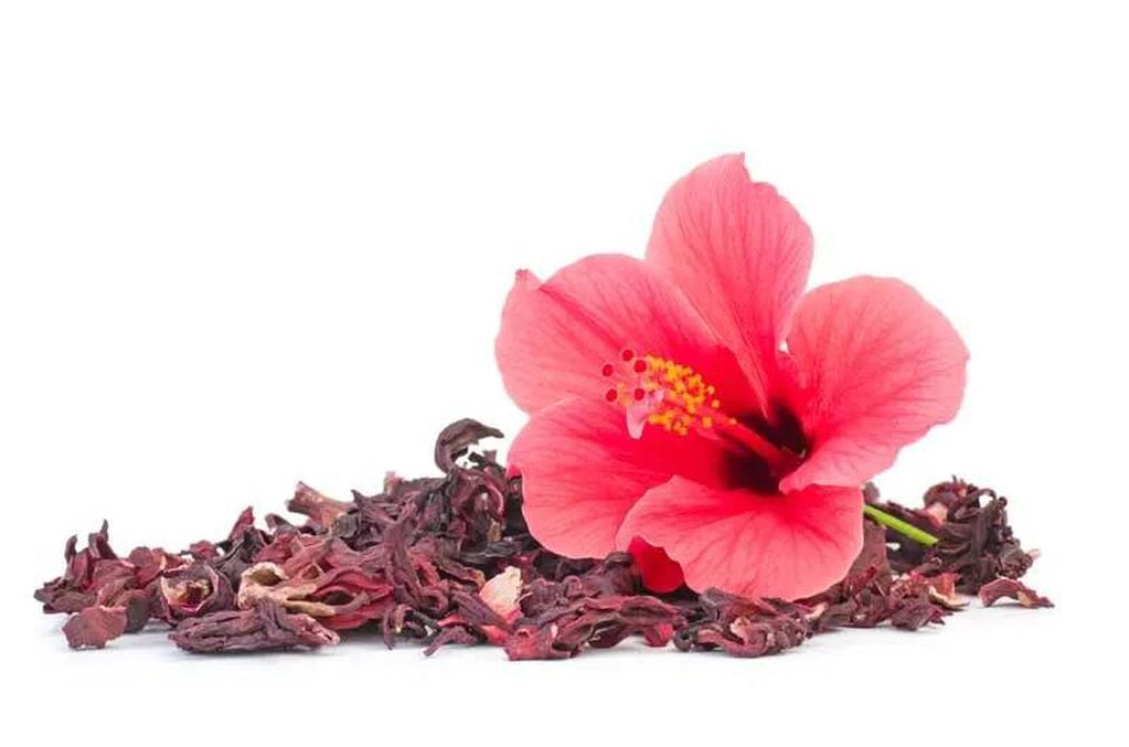 El té de hibiscus se puede consumir frío o caliente.