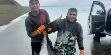 Los pescadores de Río Gallegos con el atún de más de 250 kilos.