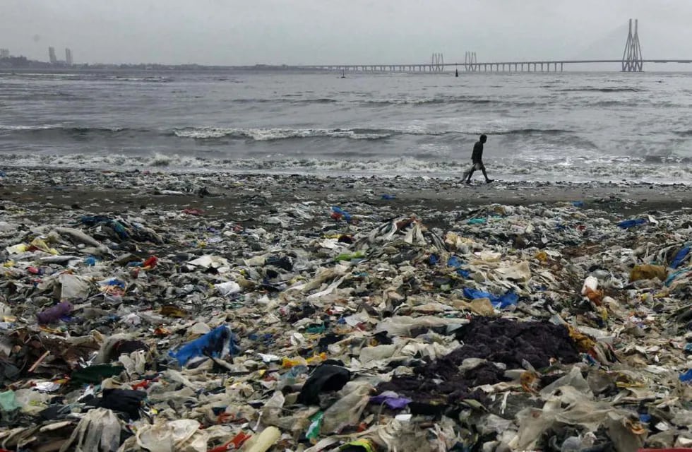 Preocupa la degradación de los océanos. (AP)