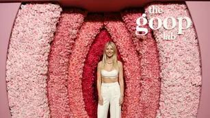 The Goop Lab en Netflix: ¿puede reducir la ansiedad y la depresión estar bajo 10 grados?