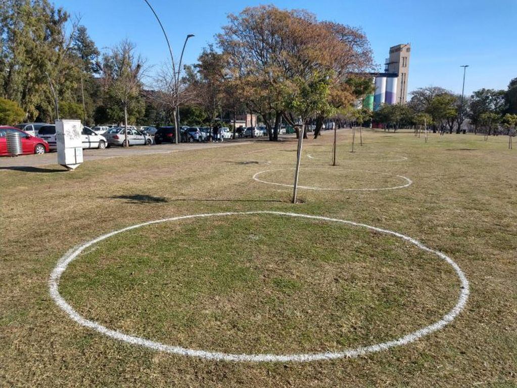 Los círculos fueron pintados en el Parque de las Colectividades para marcar las distancias entre quienes hagan picnis el fin de semana. (Radio 2)