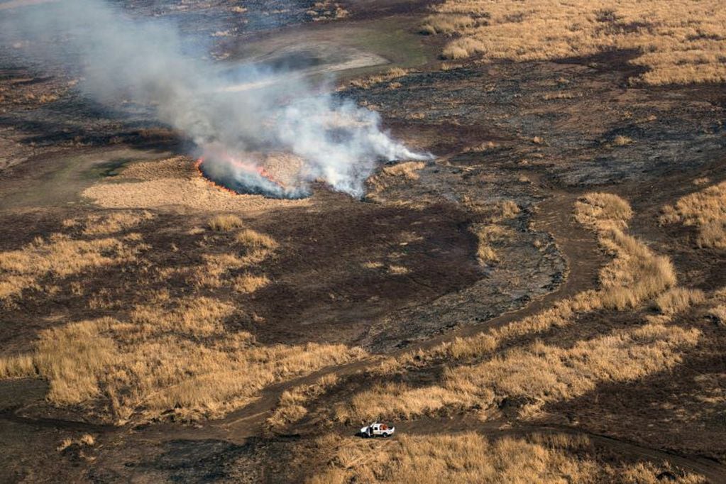 El fuego ya consumió cientos de miles de hectáreas de humedal. (AFP)