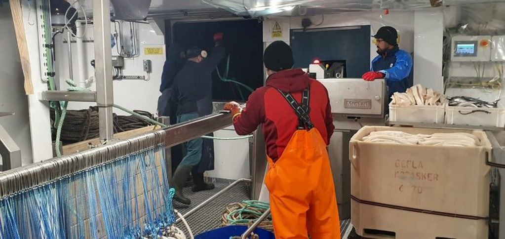 El palangrero "NORDIC PRINCE" está en plena tarea de pesca en Gerogias y Sandwich del Sur.