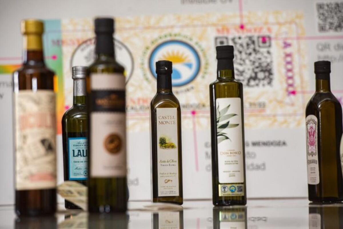 De Mendoza al mundo: cuáles son los aceites de oliva en ser los