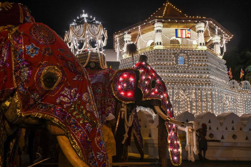 Los elefantes ornamentados son habituales en el desfile del Templo del Diente (AFP)