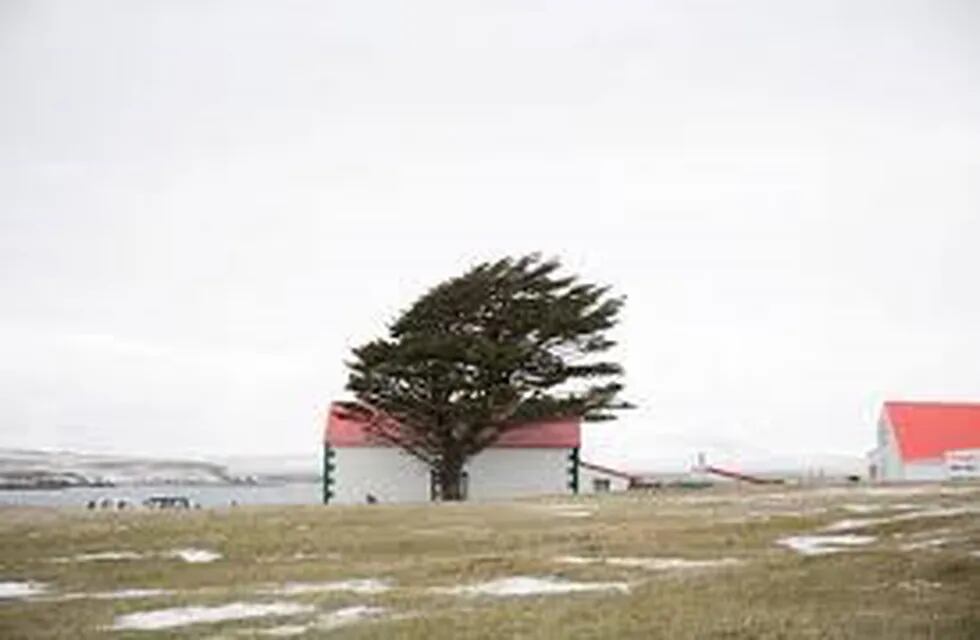 Foto tomada por Gonzalo Lauda en las Islas Malvinas durante el invierno de 2015.