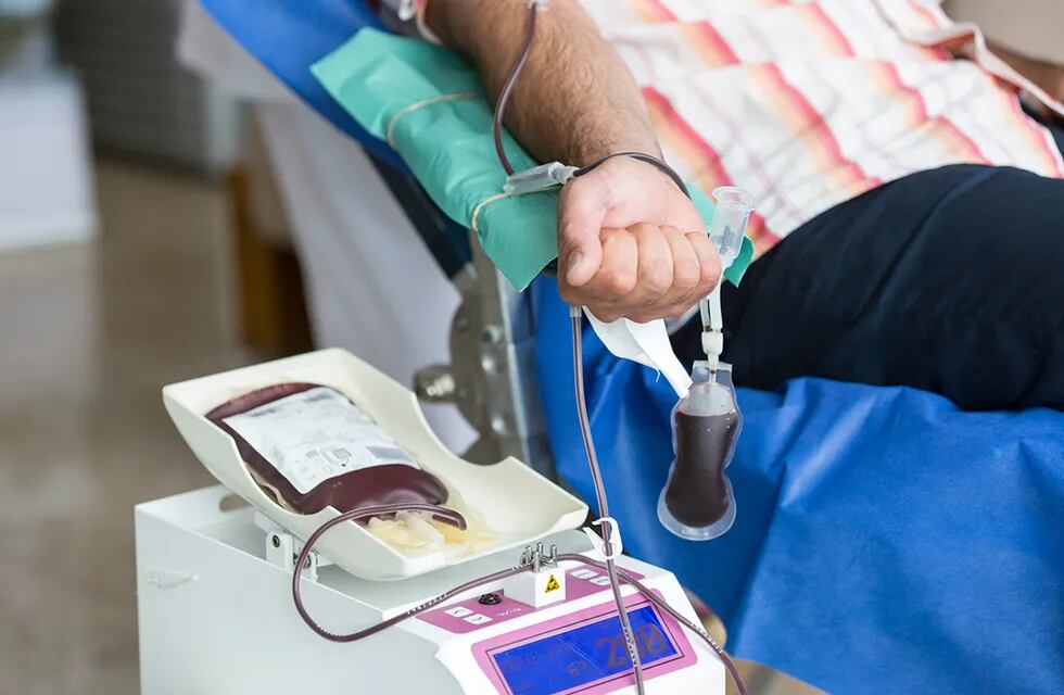 Voluntario adulto donando sangre / Sanatorio Allende