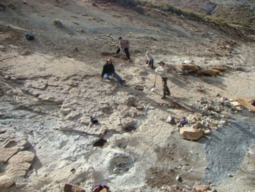 El Parque de las Huellas de dinosaurio en Malargüe fue descubierto en 2006.
