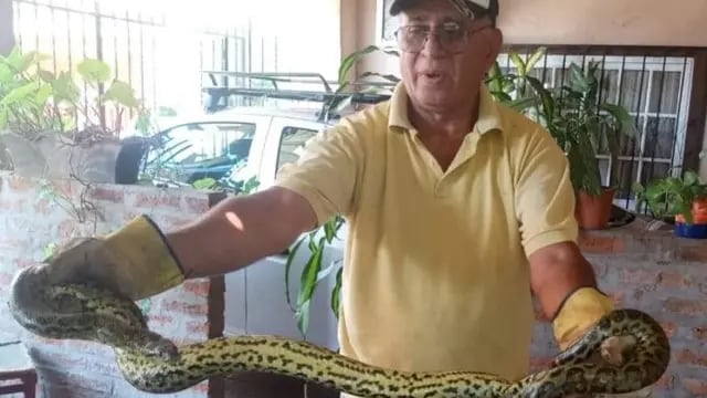 Rescatan a una serpiente de gran tamaño que apareció dentro de un auto en Posadas