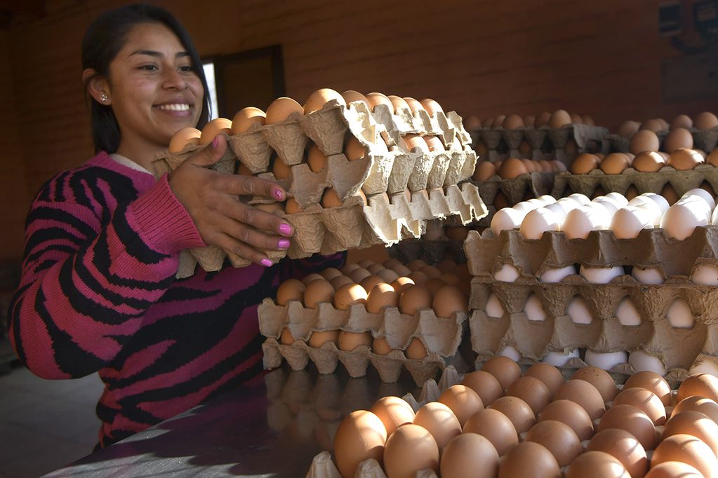 La docena de huevos subió 127 por ciento.

