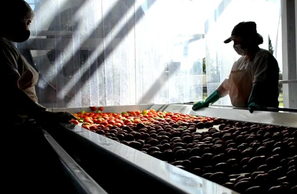 Comenzaron a elaborar tomate en la Pulpera de San Rafael.