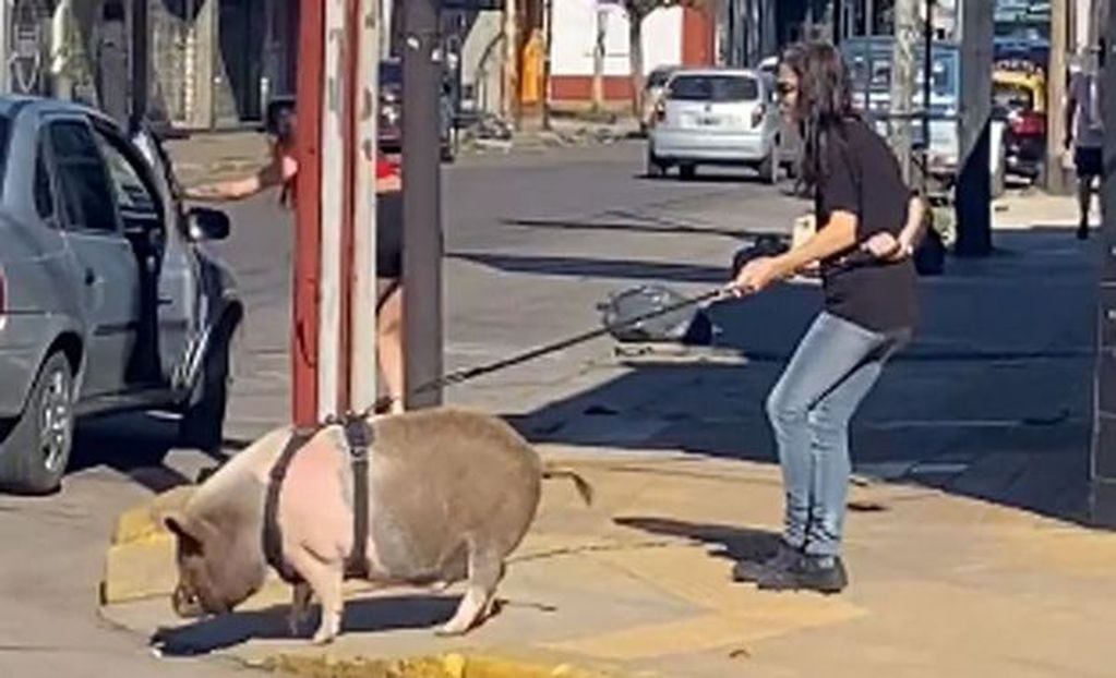 La mujer sacó a pasear a su cerdo.