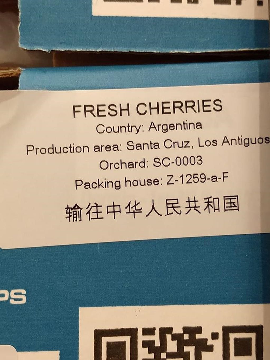 los antiguos exportacion cerezas