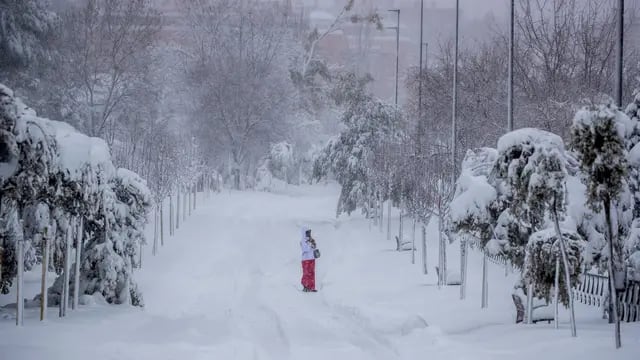 La nieve dejó a la capital española completamente paralizada, sin trenes ni aviones.