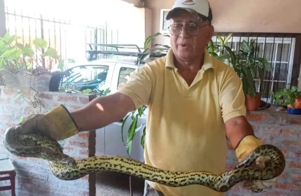 Rescatan a una serpiente de gran tamaño que apareció dentro de un auto en Posadas.
