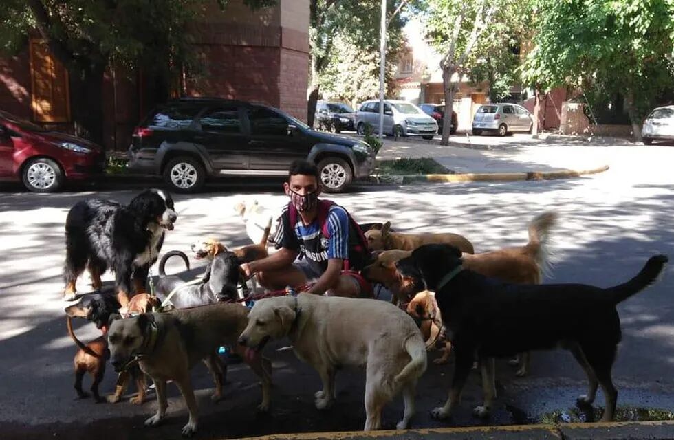 En San Martín sancionas con multas de más de $1.000 a quienes no recojan las deposiciones de sus mascotas. Imagen ilustrativa